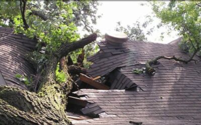 Storm Damage Roof Repair In Jeffersontown: What Homeowners Need To Know