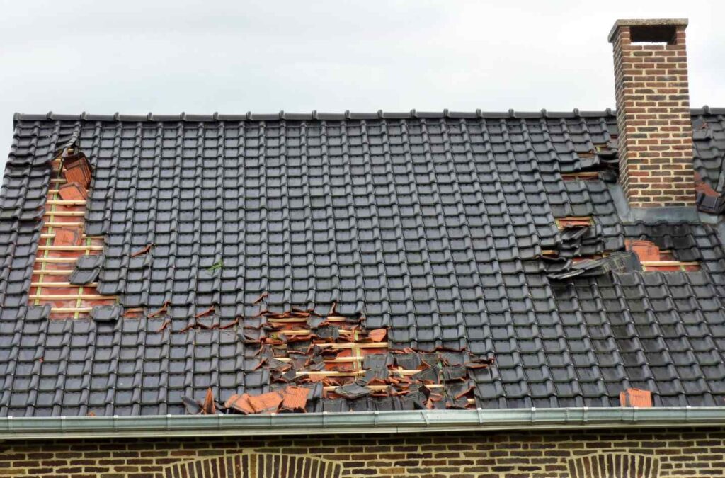 image adobe express 98