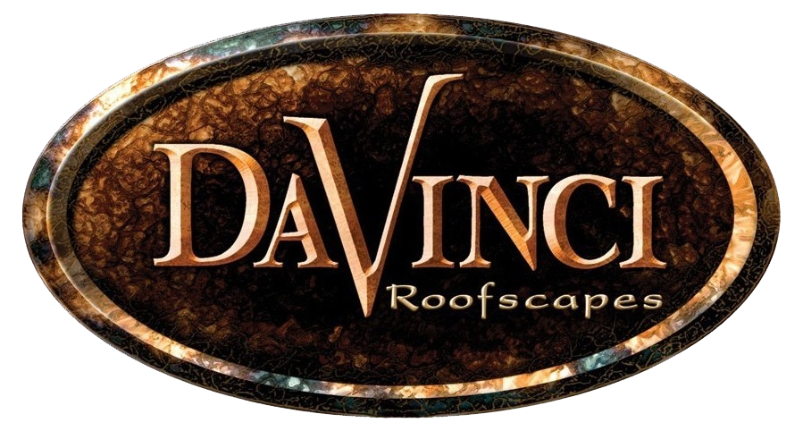 DaVinci Logo_PNG (1)