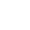 inspection